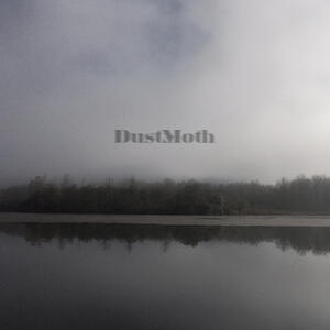 Dust Moth album cover